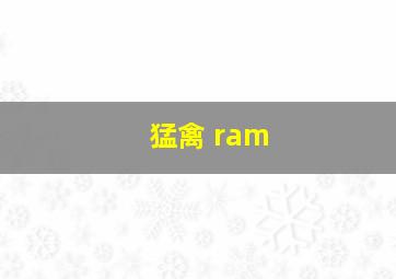 猛禽 ram